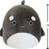 71C4WebggoL._AC_SL1500_ Kai The Orca Whale Squishmallow