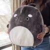 91zw82y6paL._AC_SL1500_ Kai The Orca Whale Squishmallow