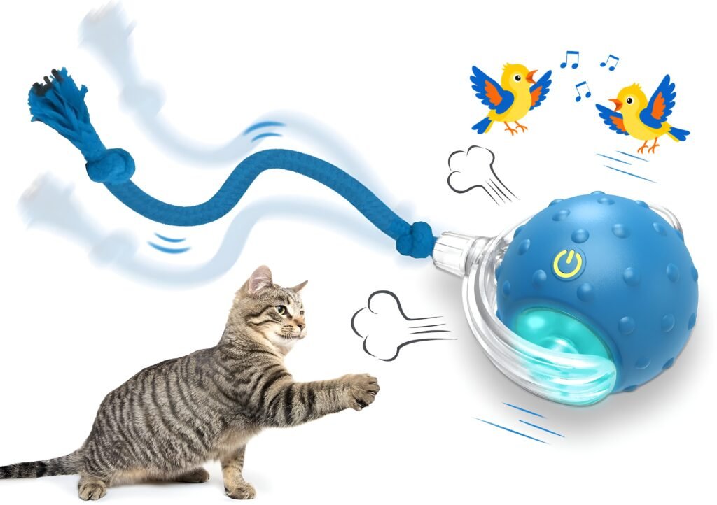 Best Interactive Cat Toys for Indoor Cats (and What to Look For) Self rolling cat toy ball with chirping sound and rope